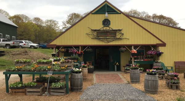 The Charming Farm Stand In Maine That Sells Delicious Summer And Fall Produce