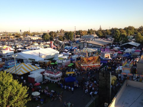 The World’s Largest Grape Festival Is Right Here In Northern California And You Don’t Want To Miss It