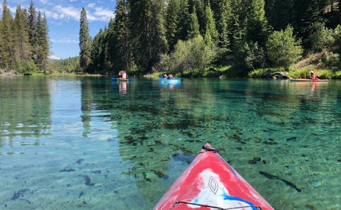 Explore Oregon's Most Beautiful Waterways On These Guided Kayak Tours
