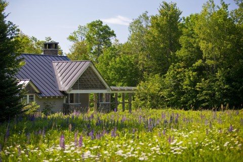 The Most Relaxing Spa In Vermont Is Tucked Away On Acres And Acres Of Wildflowers
