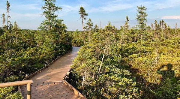 The Boardwalk Hike In Maine That Leads To Incredibly Scenic Views
