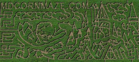 Walk Through A Magical Harry Potter Corn Maze This Fall, At Sunrise Farm In Maryland