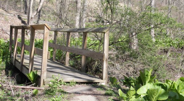 Boyce Park Log Cabin Trail, A 2.9-Mile Hike Near Pittsburgh, Takes You Through A Beautiful Wooded Area