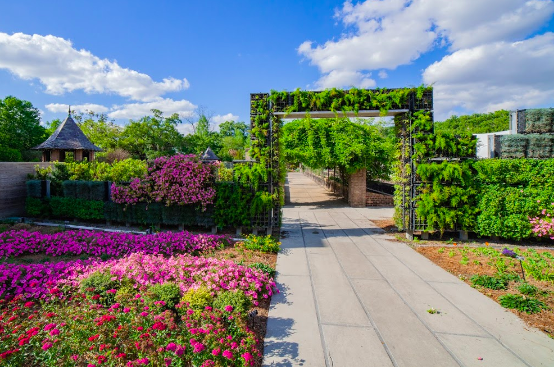 City Park Has New Orleans’ Best 12-Acre Botanical Garden