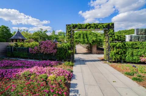 This Beautiful 12-Acre Botanical Garden In New Orleans Is A Sight To Be Seen