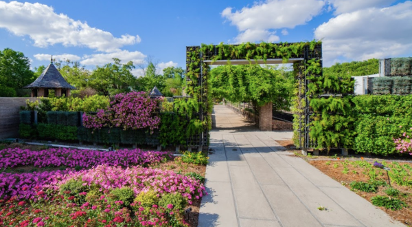 This Beautiful 12-Acre Botanical Garden In New Orleans Is A Sight To Be Seen