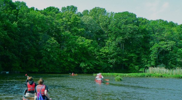9 Truly Wild Places You Would Never Expect To Find In Delaware