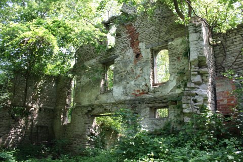 The Ruins Of A Winery From Just After The Civil War Hide On An Island Near Cleveland