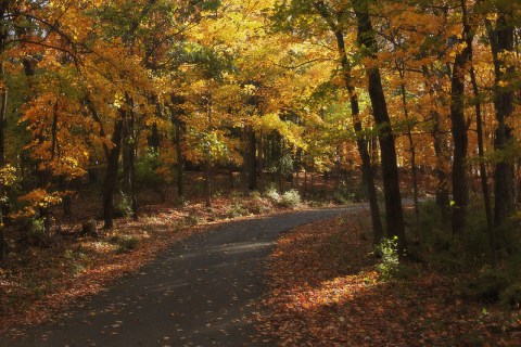 You'll Want To Take This Gorgeous Fall Foliage Road Trip Around Nashville This Year