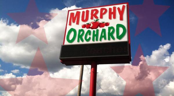 Missouri’s Murphy Orchard Has 14 Delicious Apple Varieties Prime For The Picking