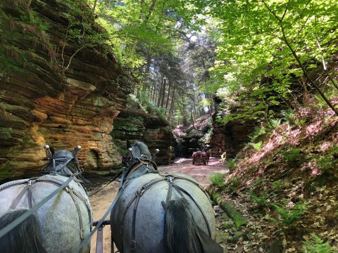 Take This Horse Drawn Carriage Ride Through A Wisconsin Canyon For A Wonderful, Scenic Experience