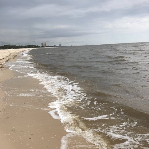 Mississippi Has Some Of The Dirtiest Beaches In The Nation Due To Fecal Bacteria