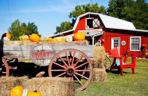 The One Mississippi Town Everyone Must Visit This Fall