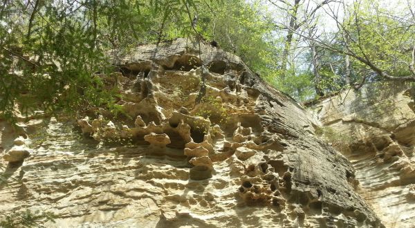 The Unique Rock Formation At Pine Hills Nature Preserve In Indiana That Looks Like A Honeycomb