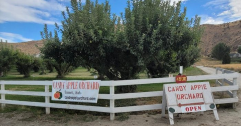 These 5 Charming Apple Orchards In Idaho Are Great For A Fall Day
