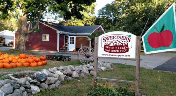 These 9 Charming Apple Orchards In Maine Are Great For A Fall Day