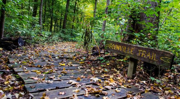 Wesselman Woods In Indiana Is A Diverse Paradise Of Natural Sites