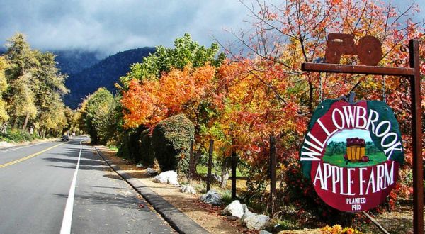 These 6 Charming Apple Orchards In Southern California Are Great For A Fall Day