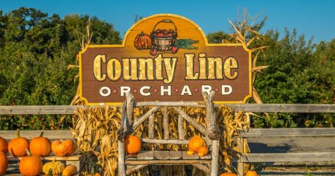 These 10 Charming Apple Orchards In Indiana Are Great For A Fall Day
