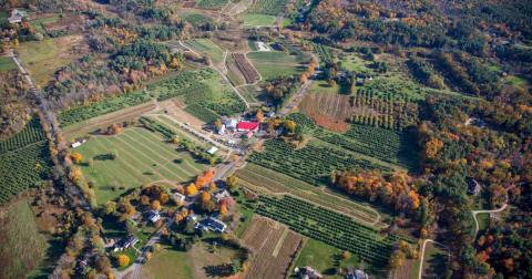 These 10 Charming Apple Orchards In New Hampshire Are Great For A Fall Day