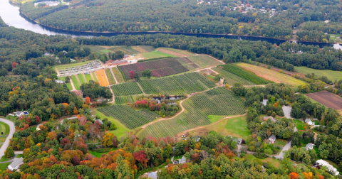 These 10 Charming Apple Orchards In Massachusetts Are Great For A Fall Day