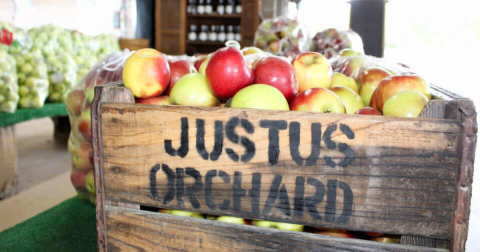 These 7 Charming Apple Orchards In North Carolina Are Great For A Fall Day