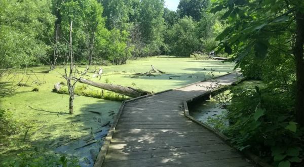 The Boardwalk Hike In Illinois That Leads To Incredibly Scenic Views