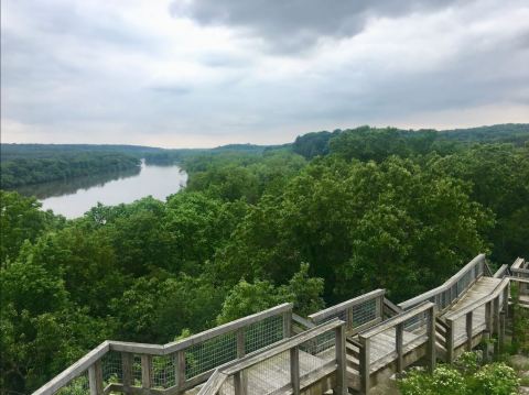 Castle Rock State Park's River Bluff Trail Leads To A Stunning View In Illinois