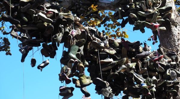 The Shoe Tree Is A Mysterious Hidden Gem Attraction In Indiana You Never Even Knew Existed