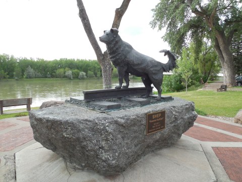 Montana's Dog Memorial Is A Moving Monument to Man's Best Friend