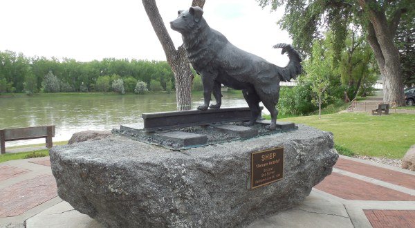 Montana’s Dog Memorial Is A Moving Monument to Man’s Best Friend