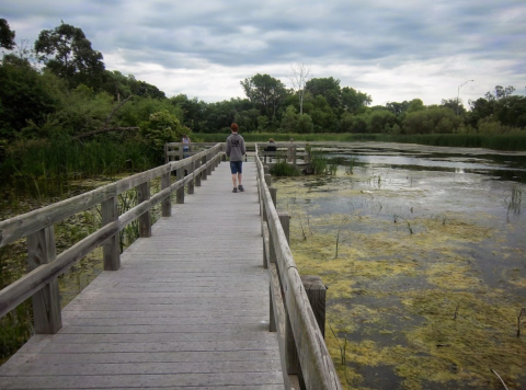 Visit This Unique Wildlife Sanctuary In Nebraska With A Boardwalk Trail Over The Water