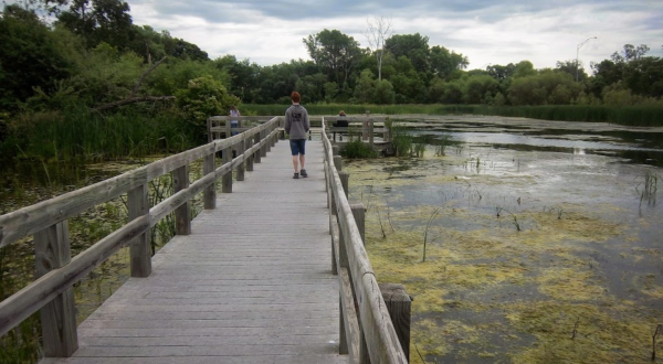 Visit This Unique Wildlife Sanctuary In Nebraska With A Boardwalk Trail Over The Water