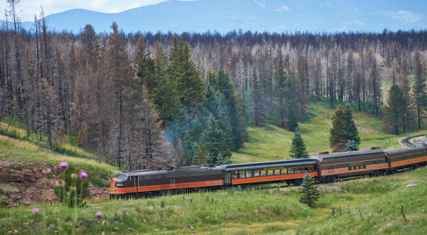 This Mountain-Top Concert Is Only Accessible By Train And It’s The Perfect Colorado Adventure