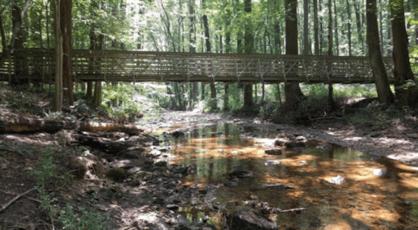 This Gorgeous Hike Through A Picturesque Delaware Forest Will Absolutely Enchant You