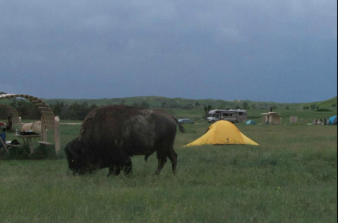 This May Just Be The Most Primitive Campground In All Of South Dakota