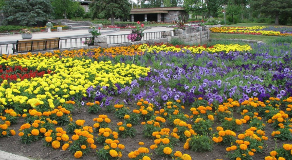 Visit North Dakota’s Dazzling International Peace Garden While It’s Still In Bloom
