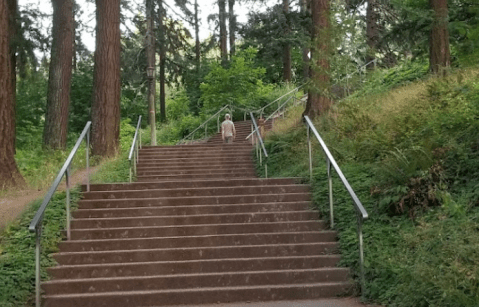 The Staircases At Mt. Tabor Park In Oregon Takes You To A Beautiful City View