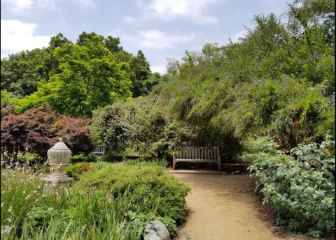 The Arboretum, A Beautiful 127-Acre Botanical Garden In Southern California, Is A Sight To Be Seen