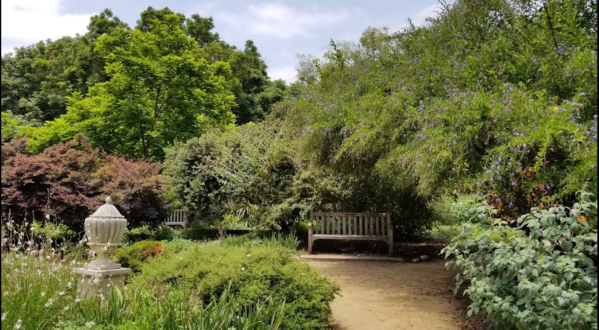 The Arboretum, A Beautiful 127-Acre Botanical Garden In Southern California, Is A Sight To Be Seen