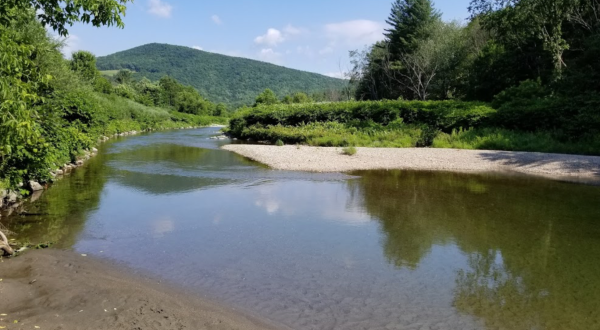 Your New Favorite Swimming Hole In Vermont Might Just Be Lareau Park