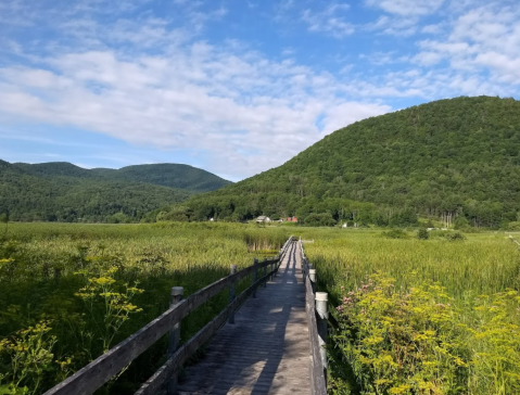 West Rutland Marsh Boardwalk Hike In Vermont Leads To Incredibly Scenic Views