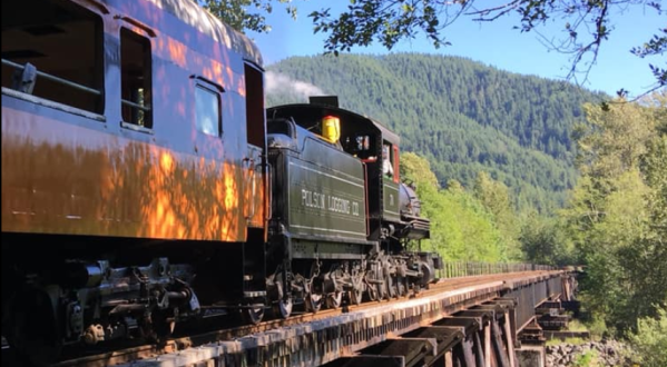 Admire Washington’s Fall Foliage And Sip Craft Beer On Mt. Rainier’s Rails To Ales Train Ride