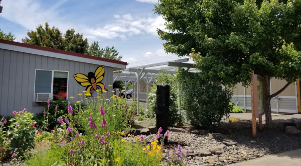 The Largest Butterfly House In Oregon Is A Magical Way To Spend An Afternoon