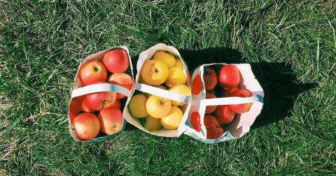 These 9 Charming Apple Orchards In Missouri Are Great For A Fall Day