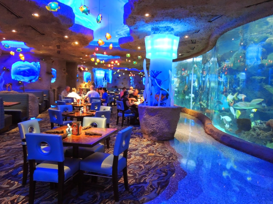 Dine Among Sea Creatures At The Houston Aquarium Restaurant In Texas