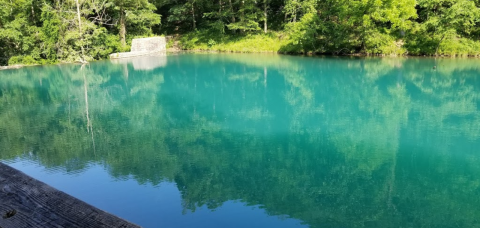 This Peaceful Hike Takes You To The Most Crystal Blue Lake In Arkansas