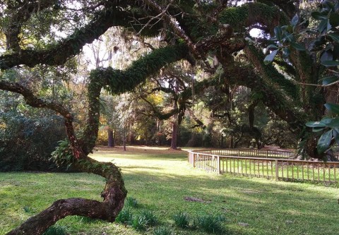 You'll Never Run Out Of Things To Do At Alabama's Historic Blakeley State Park