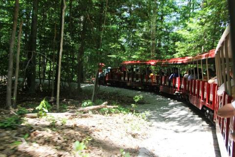 This Miniature Train Will Take You Around Virginia's Lakeside Park For A Picturesque Adventure