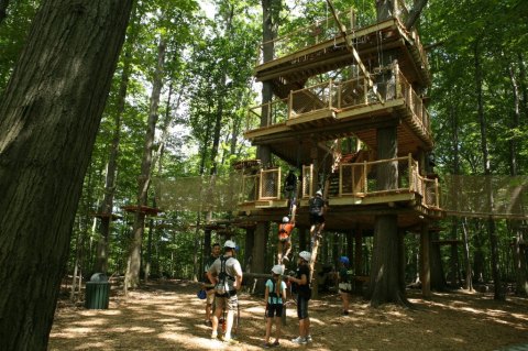 Challenge Yourself With A 3-Story Adventure Course At Lake Erie Canopy Tours In Ohio